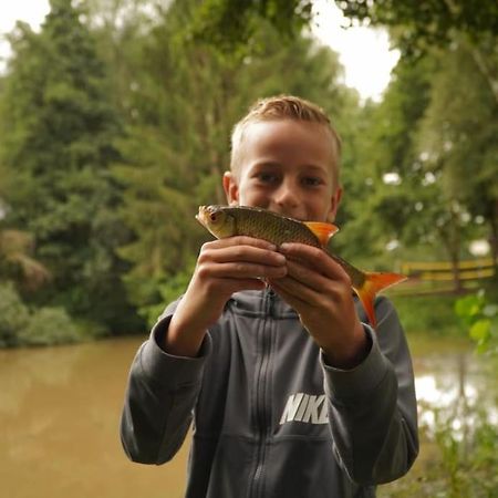 Saevis Tranquillus In Undis In De Ijsvogel Villa Diffelen Exterior foto