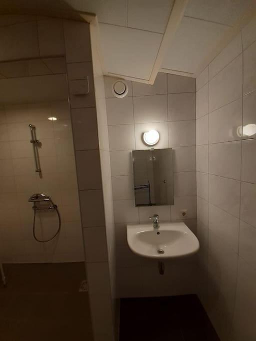 Saevis Tranquillus In Undis In De Ijsvogel Villa Diffelen Exterior foto
