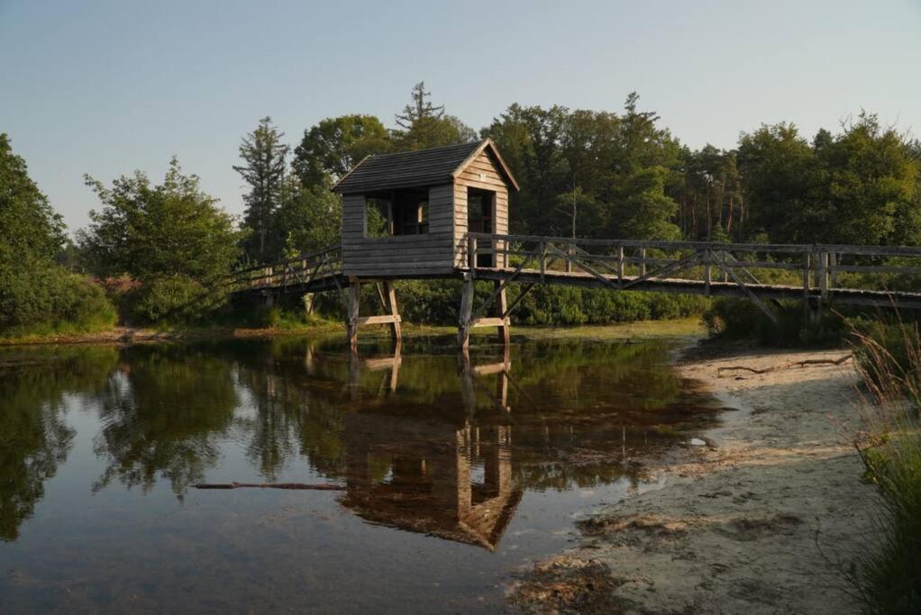 Saevis Tranquillus In Undis In De Ijsvogel Villa Diffelen Exterior foto